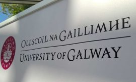 Historian fails in age bias claim for university job