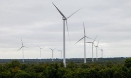 Wind Energy Ireland report flags slowdown in planning approvals