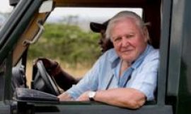 How Sir David Attenborough built ‘Green Hollywood’ in Bristol