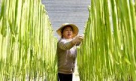 China should stop hoarding food and fertiliser, says former World Bank chief