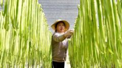china-should-stop-hoarding-food-and-fertiliser,-says-former-world-bank-chief