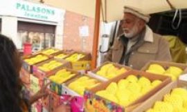 London traders hit by ‘king of mangoes’ shortage