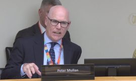 Judicial review rate on downward trend, committee hears