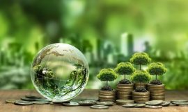 Record 12 firms in Ireland achieve top climate rating