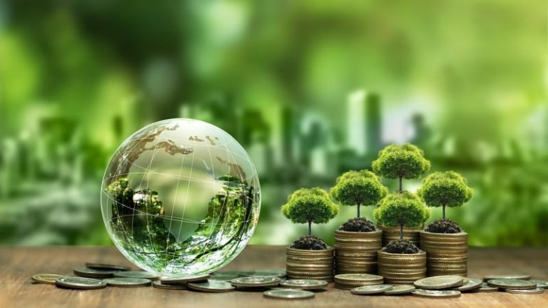 Read more about the article Record 12 firms in Ireland achieve top climate rating