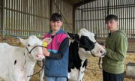 Farmers warn of ‘no future’ as milk prices fall below cost
