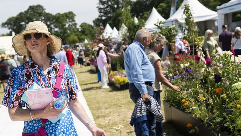 100,000-expected-to-attend-bloom-gardening-festival