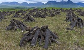 EU taking Ireland to court over peat-cutting enforcement