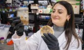 Food industry: How waste is made tasty using an ancient trick