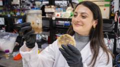 food-industry:-how-waste-is-made-tasty-using-an-ancient-trick