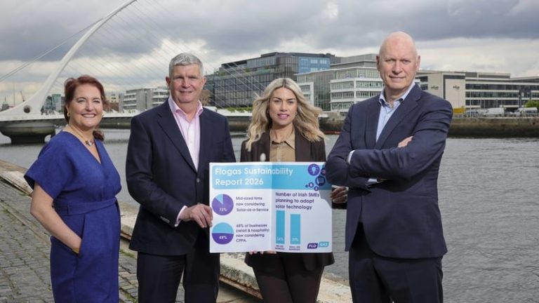 Read more about the article SMEs set to drive Ireland’s energy transition – report