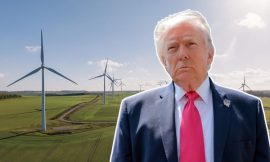 Is Donald Trump winning his war on wind?
