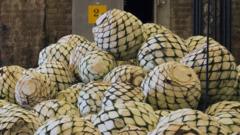 india’s-‘blue-gold’-starts-a-new-drinks-industry