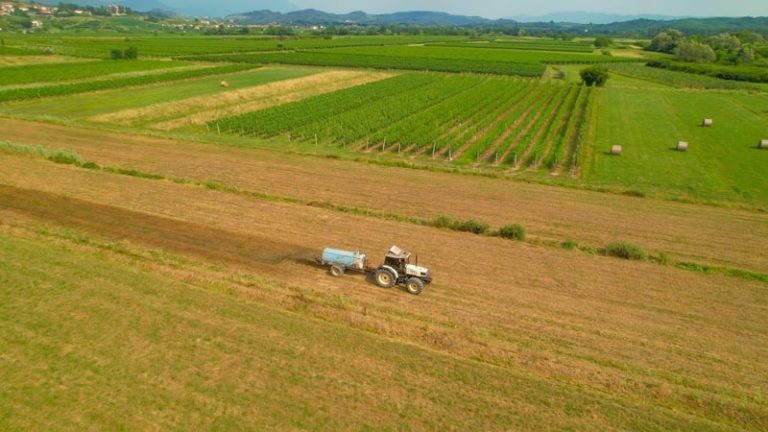 Read more about the article CAP funding for farmers among ‘priorities’ for presidency
