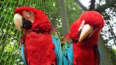 surrey-attractions-welcome-summer-vat-cut-on-tickets-and-food