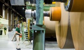 Euro zone factory activity strong in June despite war