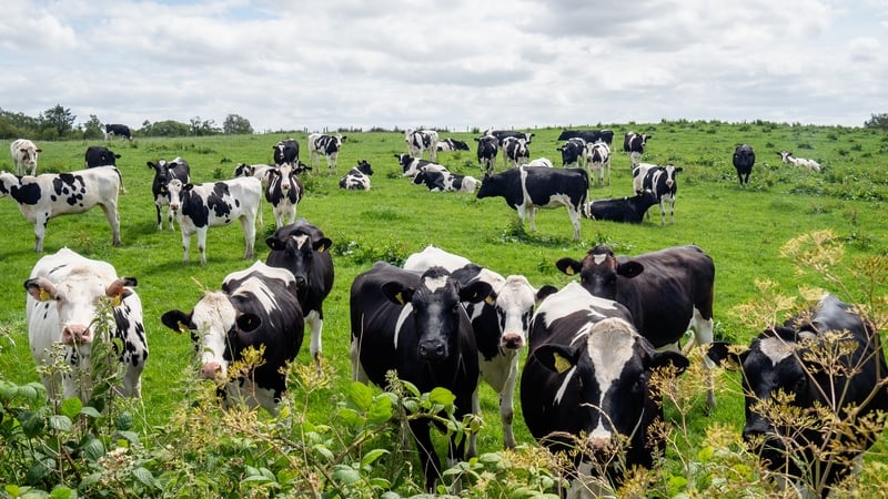 average-farm-incomes-jumped-49%-to-over-e53,800-in-2025