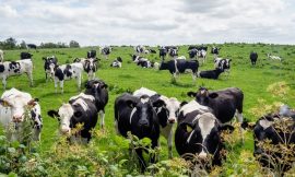 Community, climate and change: life on farms in the Midlands
