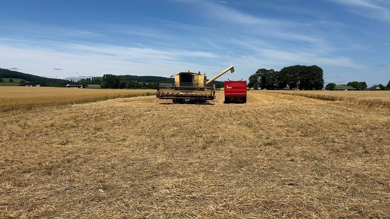 long-dry-spell-brings-early-start-to-harvest-for-farmers