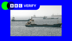 Read more about the article US-Iran strikes: Strait of Hormuz ship traffic falls steeply
