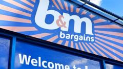 b&m-fined-2m-over-mice-infestations-at-birmingham-stores
