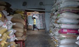 Diesel Crisis Puts Poor Farmers Around the World at Risk