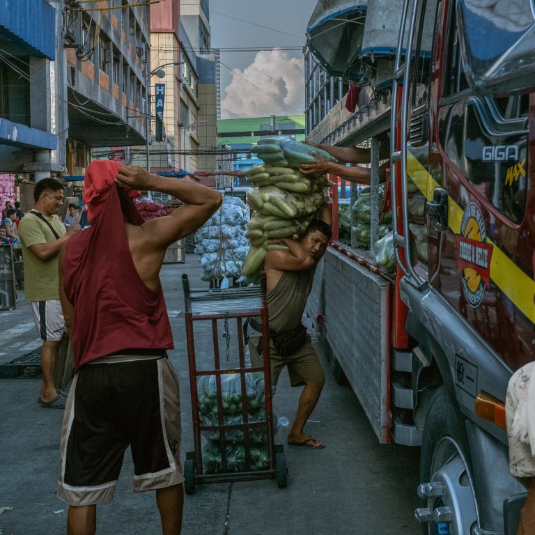 Read more about the article n