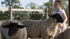 will-summer-vat-savings-scheme-make-family-days-out-any-cheaper?