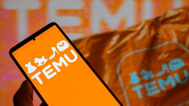 Read more about the article EU accuses Temu of hindering raid in Ireland