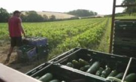 Group’s mission to appreciate every piece of food in South West