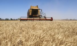 World faces fresh food price surge, UN agency warns