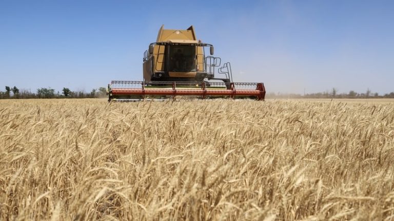 Read more about the article World faces fresh food price surge, UN agency warns