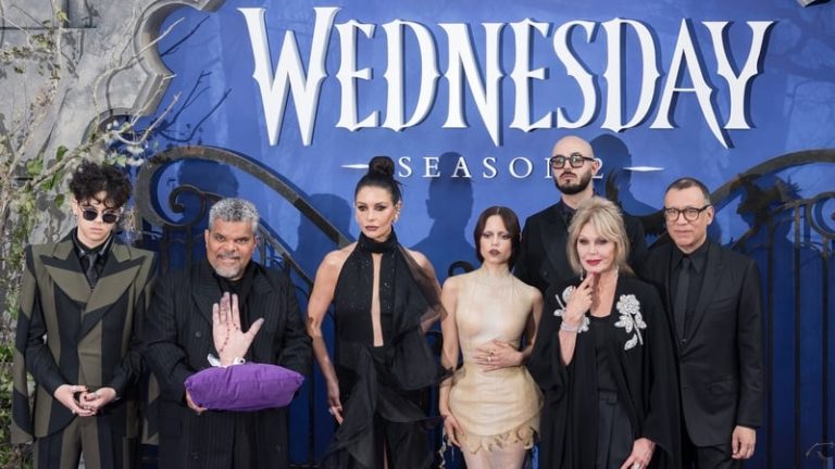 Read more about the article Wicklow’s Ashford Studios fails in bid to double in size