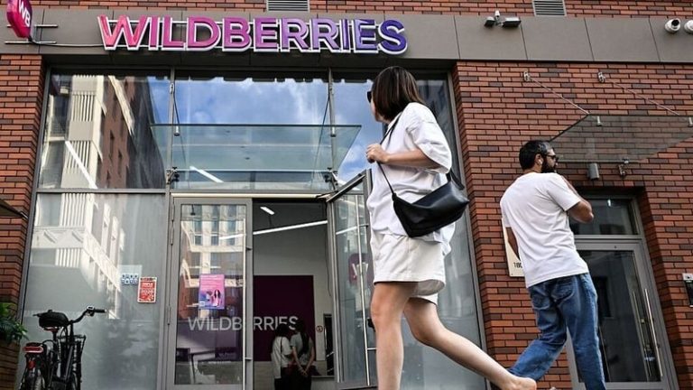Read more about the article Why Ukraine is targeting Russian retail giant Wildberries
