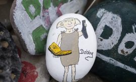 Dobby memorial forced diversion of Ireland-UK power link