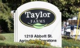 Taylor Farms recalls jalapeno products after salmonella outbreak