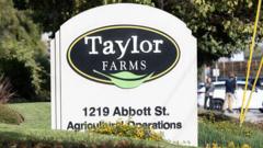 Read more about the article Taylor Farms recalls jalapeno products after salmonella outbreak