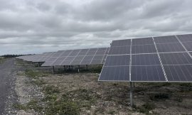 Heatwave boosted solar supply to grid in July – EirGrid
