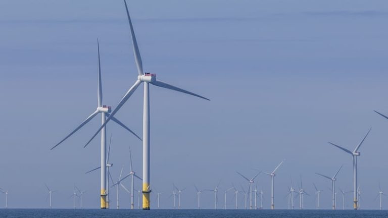 Read more about the article Offshore wind developer Orsted Q2 beats estimates