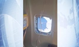 Bird remains found in 737 engine from Ryanair incident