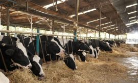 Farmers call for support over impact of high temperatures