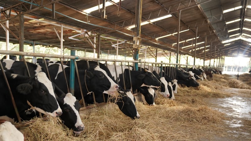 farmers-call-for-support-over-impact-of-high-temperatures