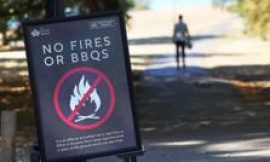 Temporary disposable barbecue ban over wildfire risk