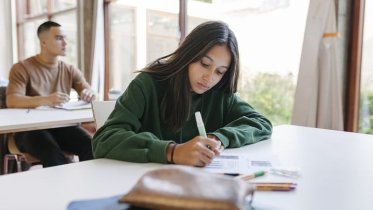 Read more about the article Are Irish students getting right advice on AI-proofing careers?