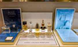 Estee Lauder forecasts strong annual profit