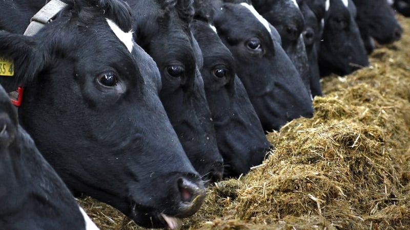 40%-of-farmers-have-significant-fodder-deficit-–-ifa