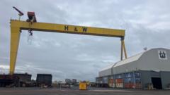 Read more about the article Harland & Wolff: Shipyard cranes to be overhauled ahead of major contract