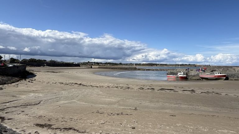 Read more about the article El Niño could bring ‘intense’ rain, storms – Met Éireann
