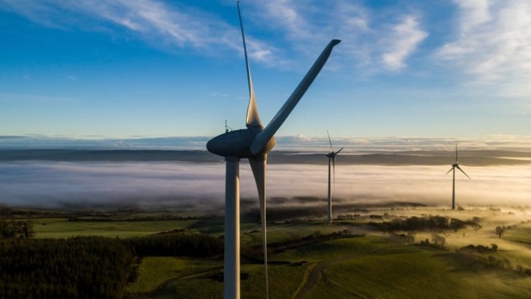 Read more about the article Half of generated electricity from renewable sources: CSO