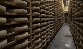 France eases cow diets as cheesemakers sweat